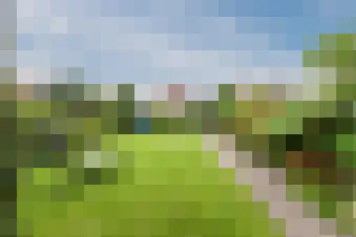 Kluttershoek 1 Soerendonk thumbnail 36