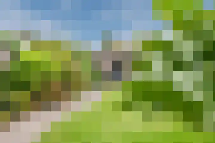 Kluttershoek 1 Soerendonk thumbnail 37