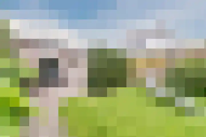 Kluttershoek 1 Soerendonk thumbnail 38
