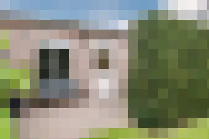 Kluttershoek 1 Soerendonk thumbnail 39