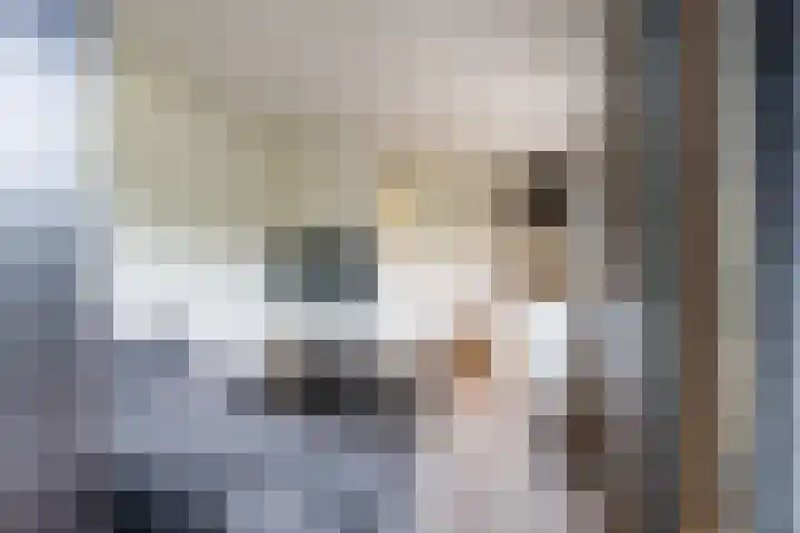 Kluttershoek 1 Soerendonk thumbnail 42