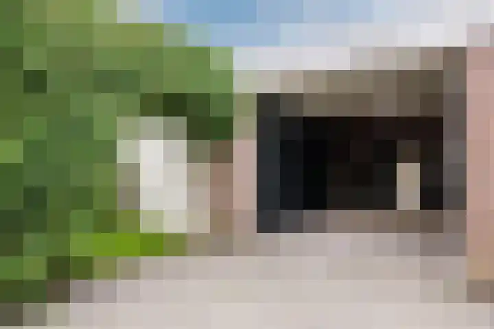 Kluttershoek 1 Soerendonk thumbnail 44