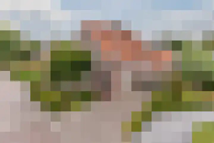 Kluttershoek 1 Soerendonk thumbnail 51