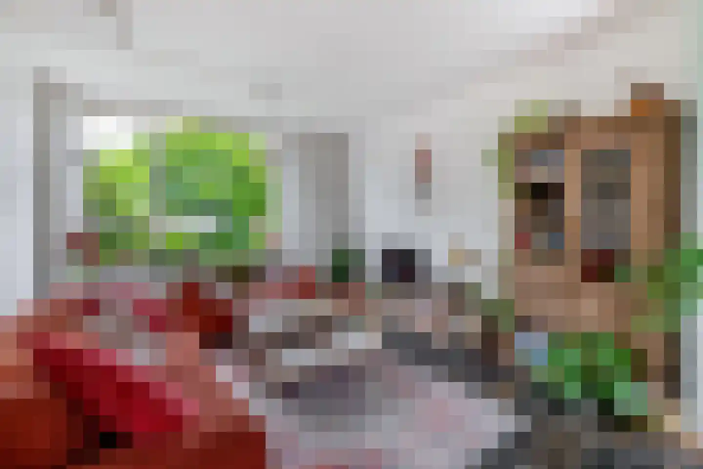 Kluut 10 Sommelsdijk thumbnail 10