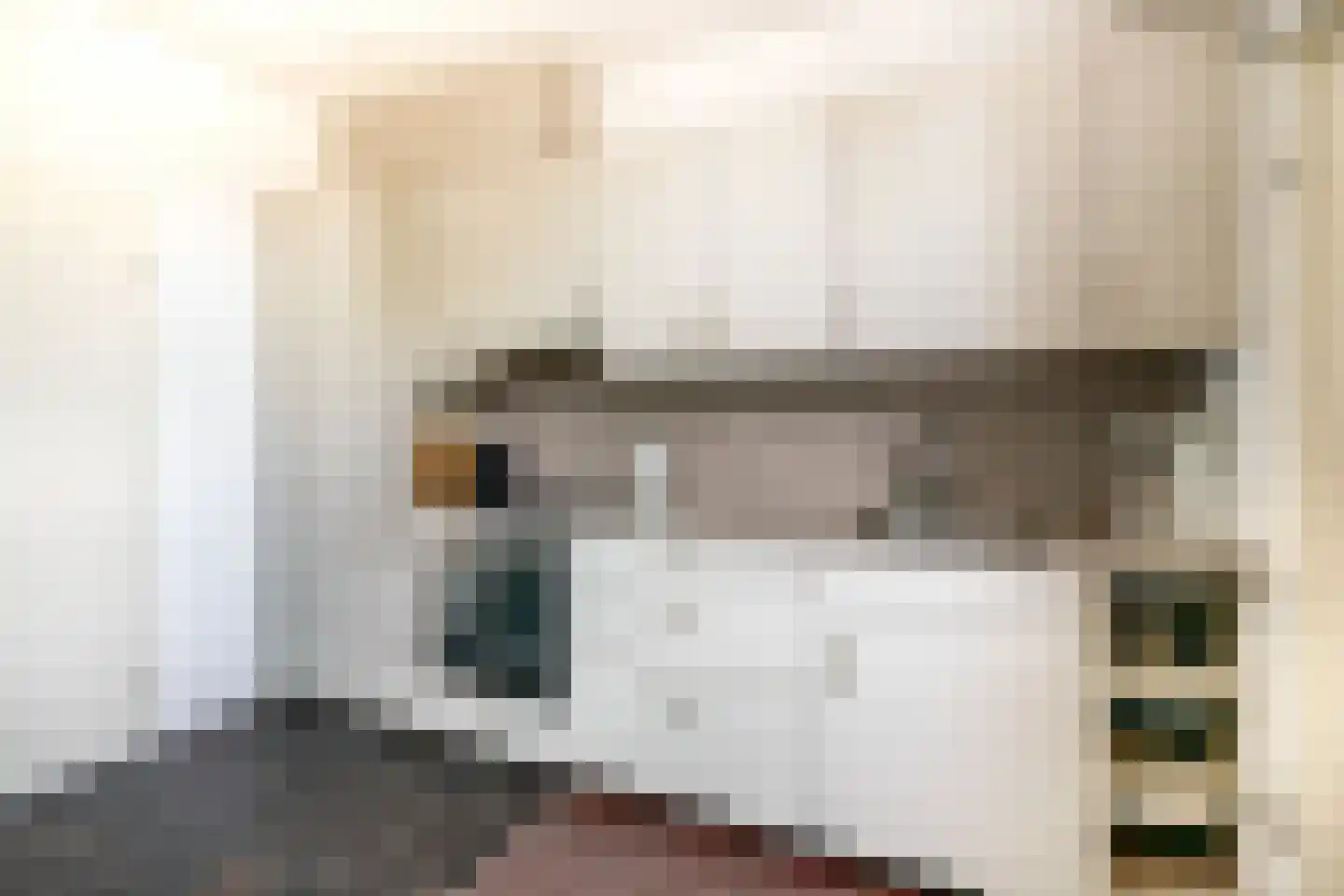 Kluut 10 Sommelsdijk thumbnail 12