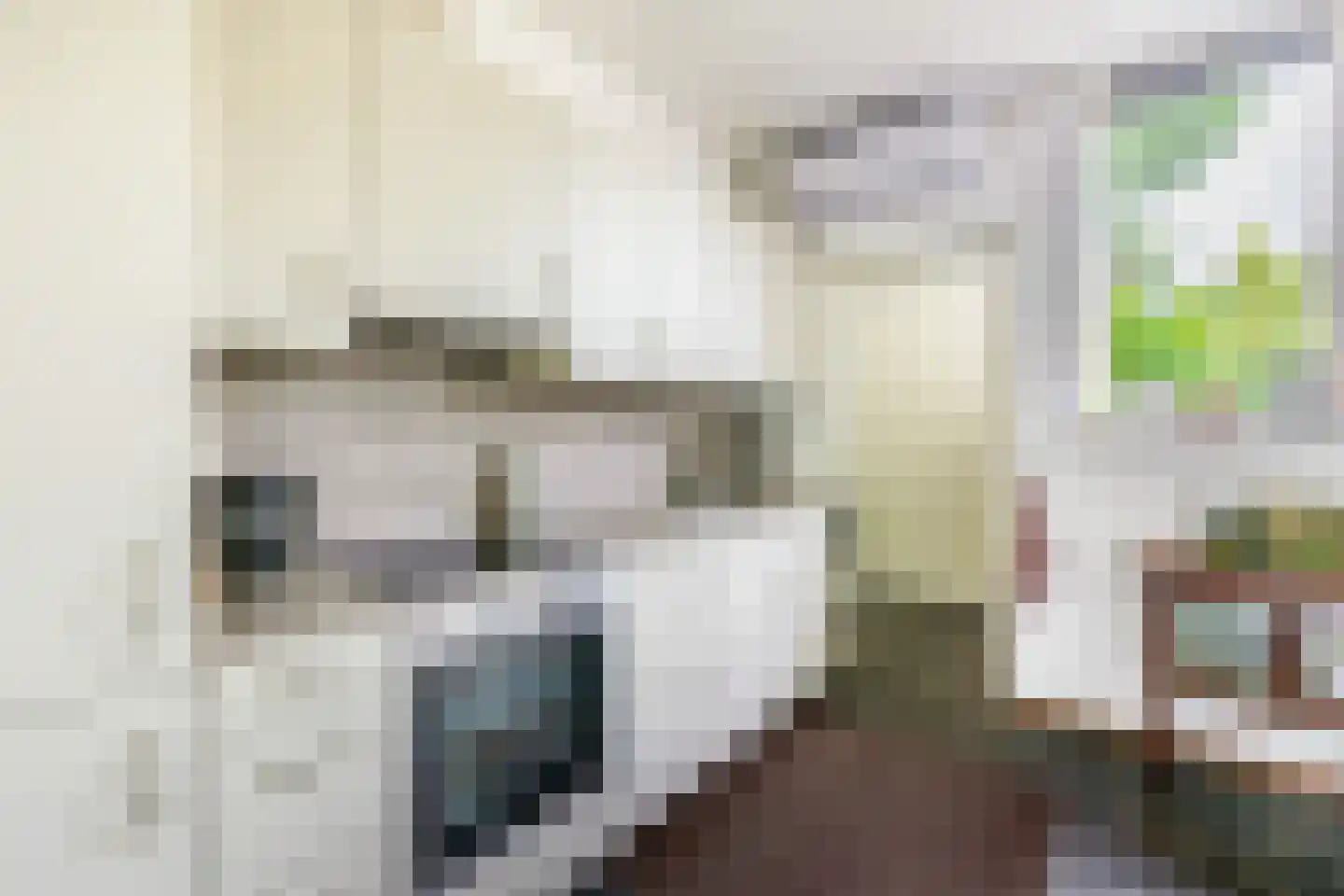 Kluut 10 Sommelsdijk thumbnail 13