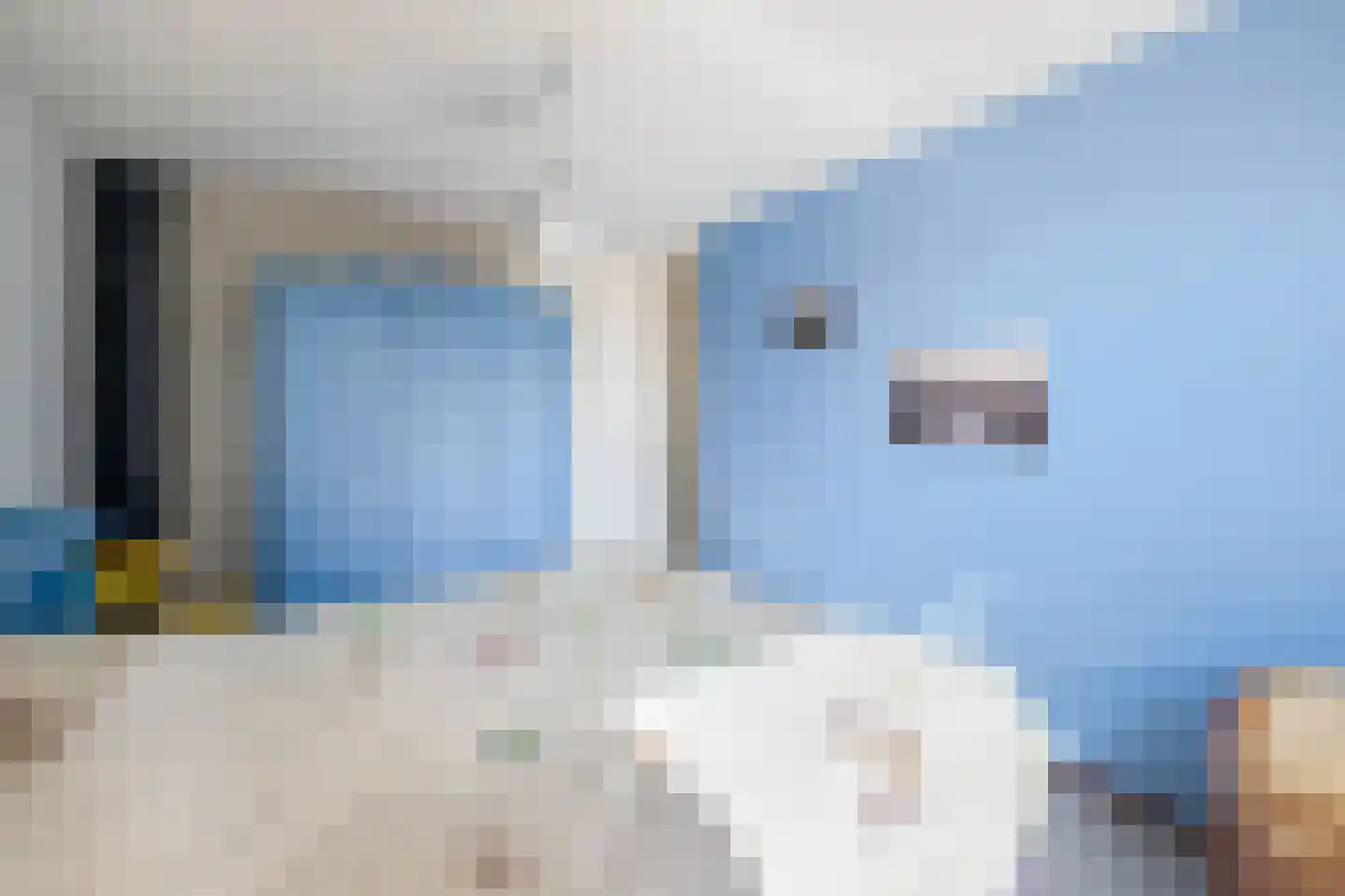 Kluut 10 Sommelsdijk thumbnail 15