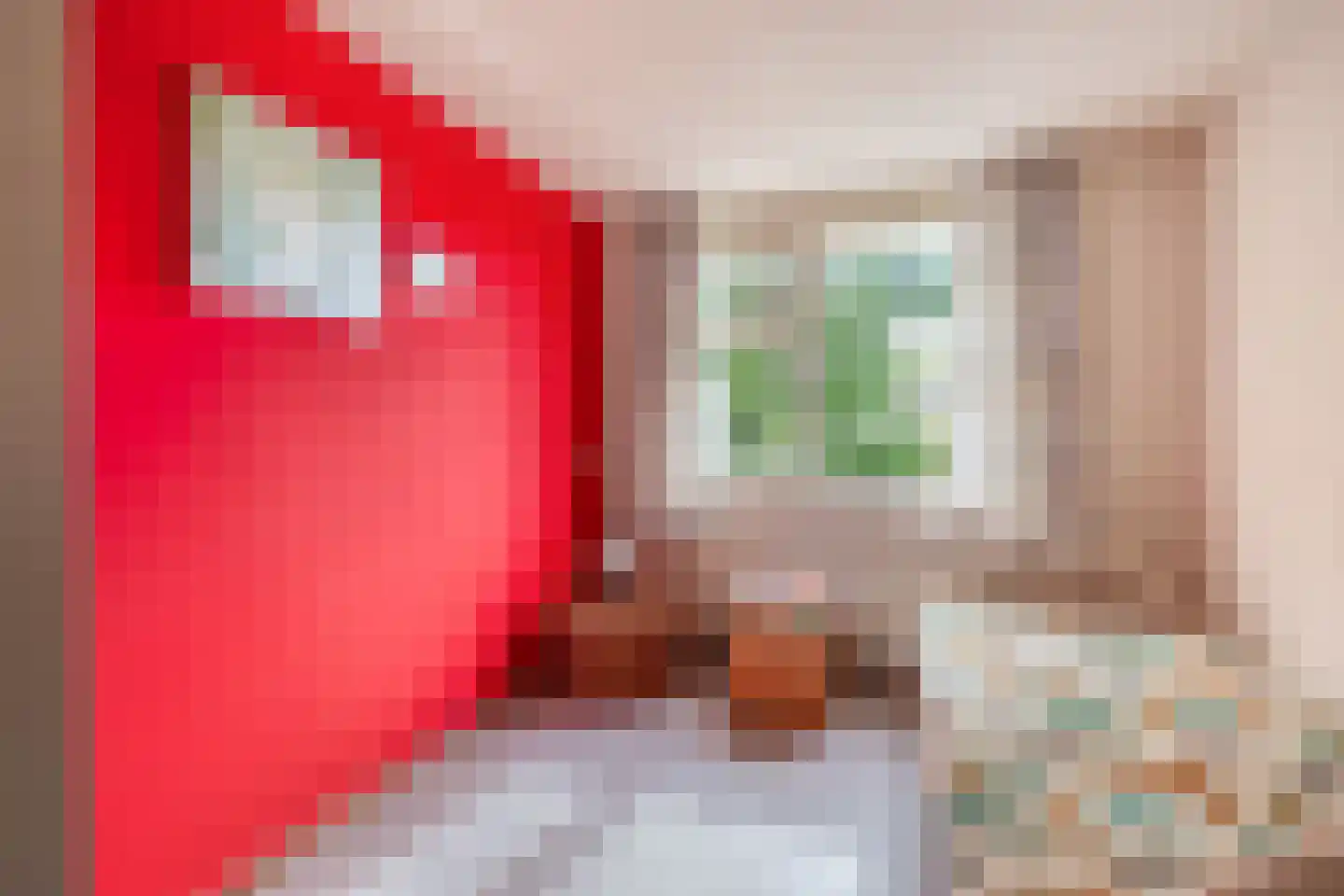 Kluut 10 Sommelsdijk thumbnail 17