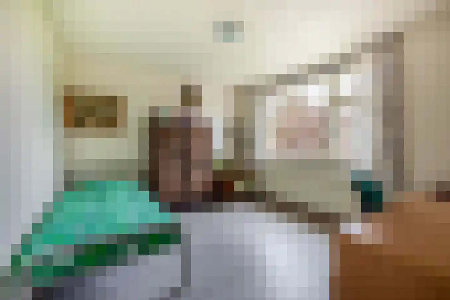 Kluut 10 Sommelsdijk thumbnail 18
