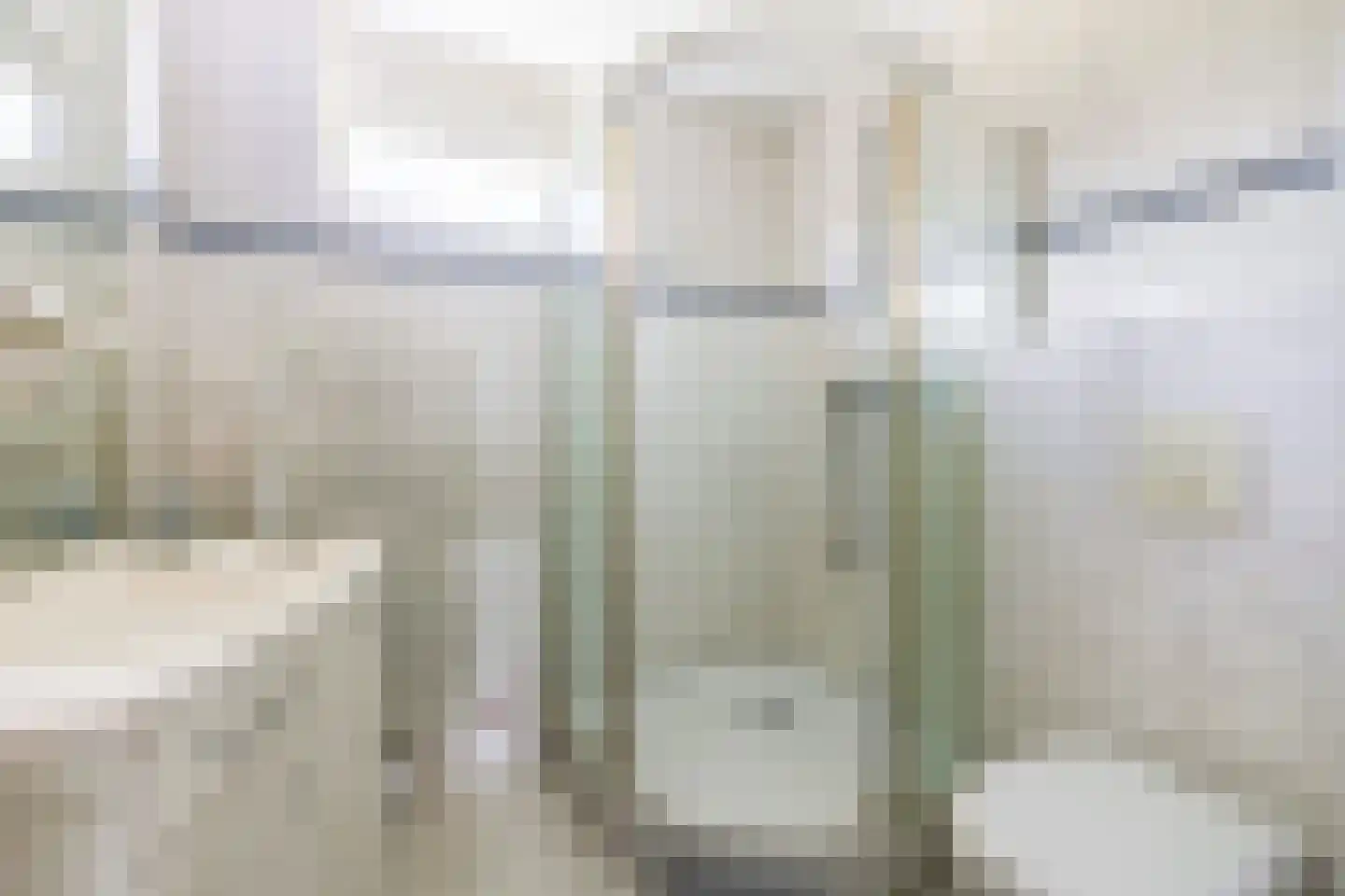 Kluut 10 Sommelsdijk thumbnail 19