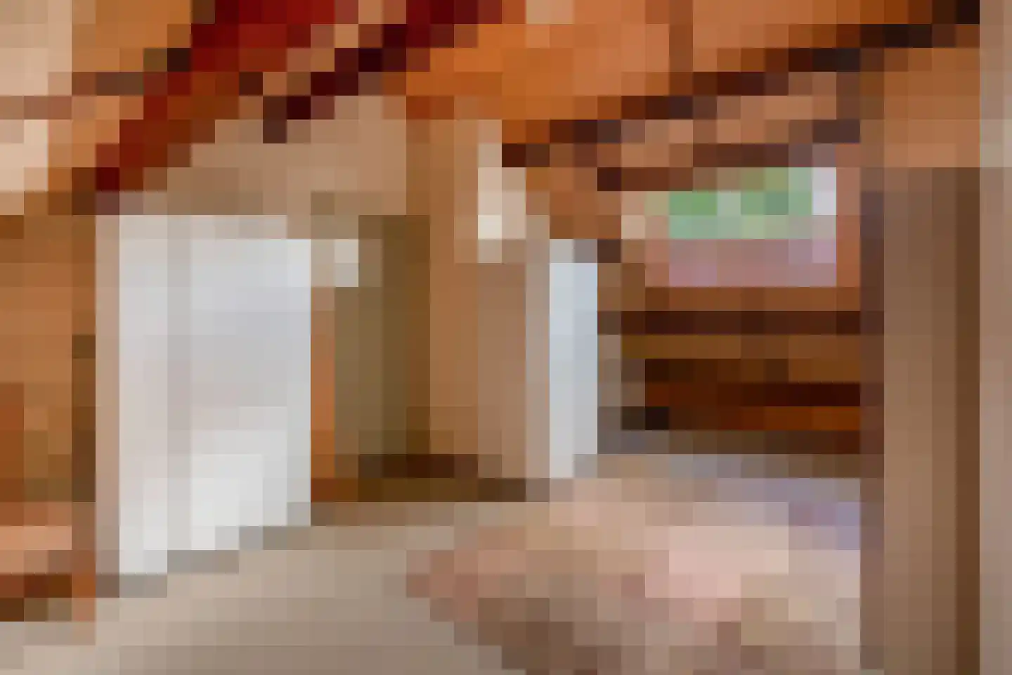 Kluut 10 Sommelsdijk thumbnail 22