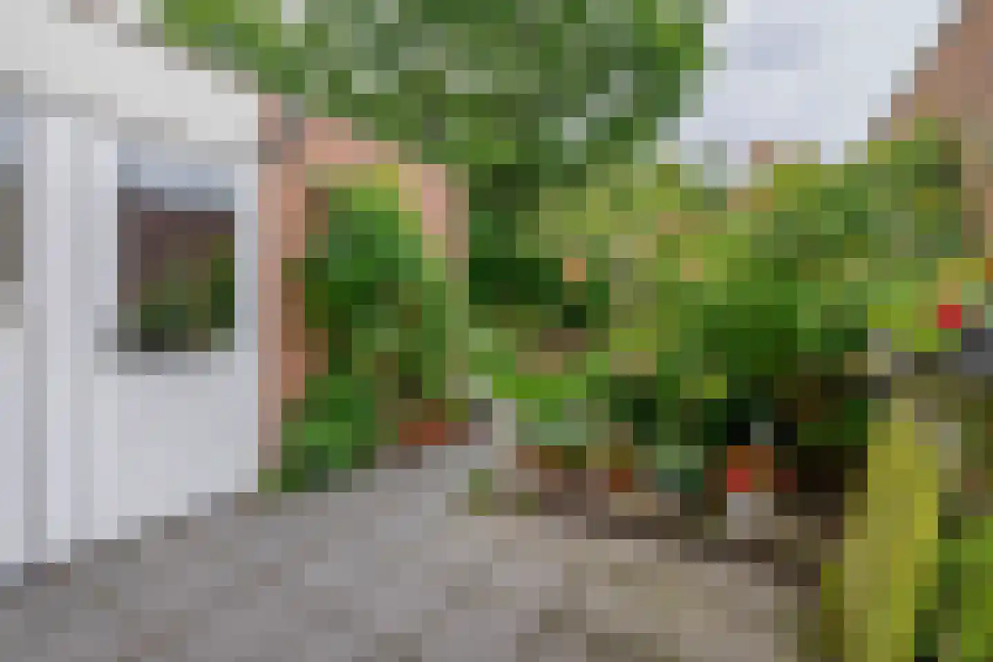 Kluut 10 Sommelsdijk thumbnail 23