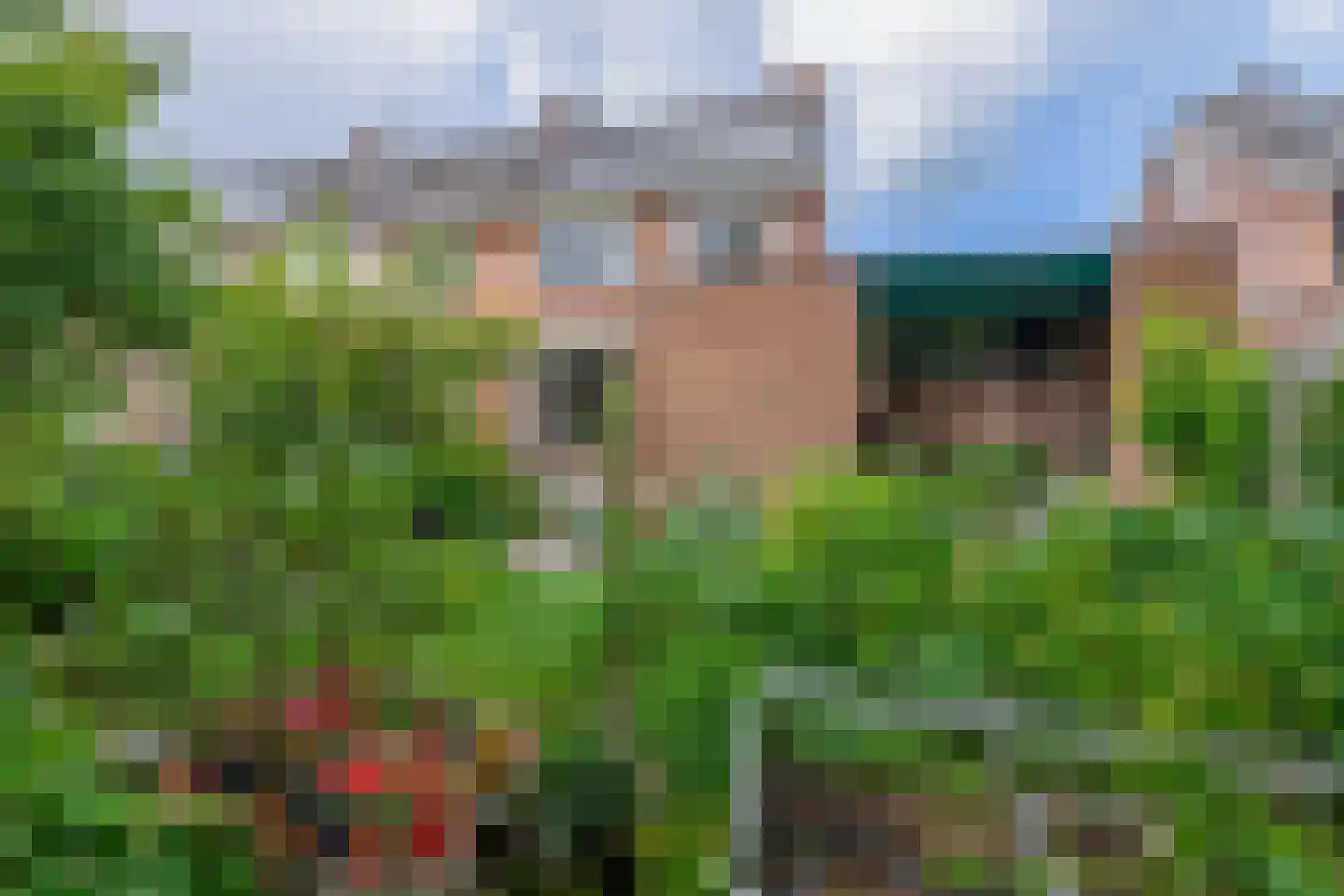 Kluut 10 Sommelsdijk thumbnail 24