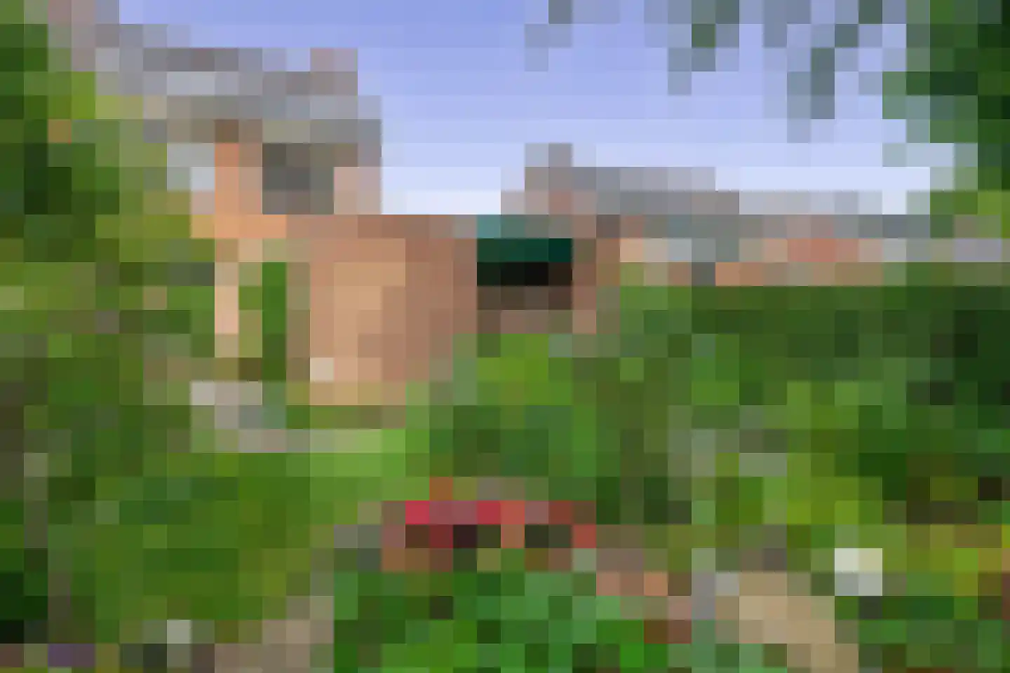 Kluut 10 Sommelsdijk thumbnail 25
