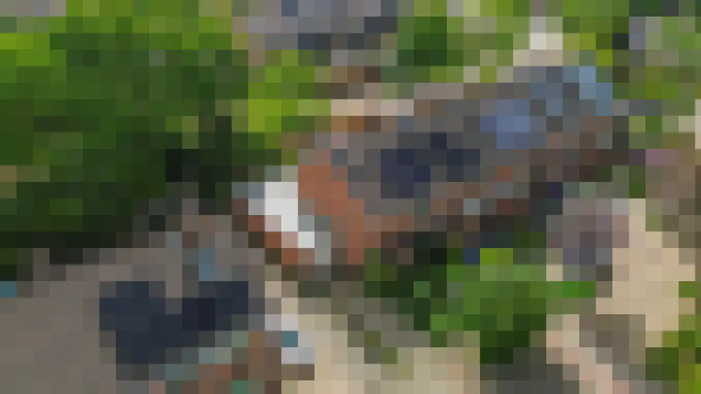 Kluut 10 Sommelsdijk thumbnail 27