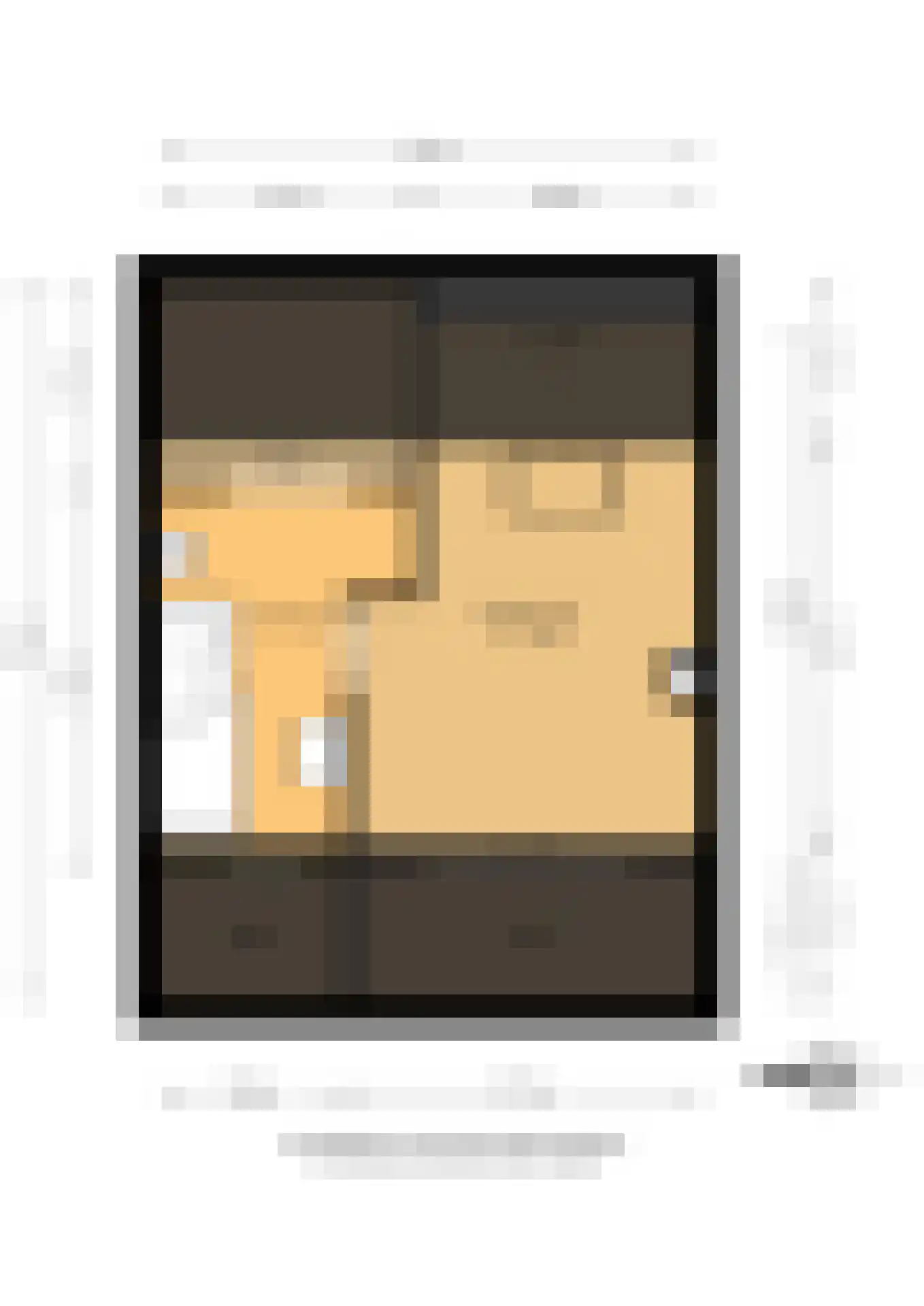 Kluut 10 Sommelsdijk thumbnail 32