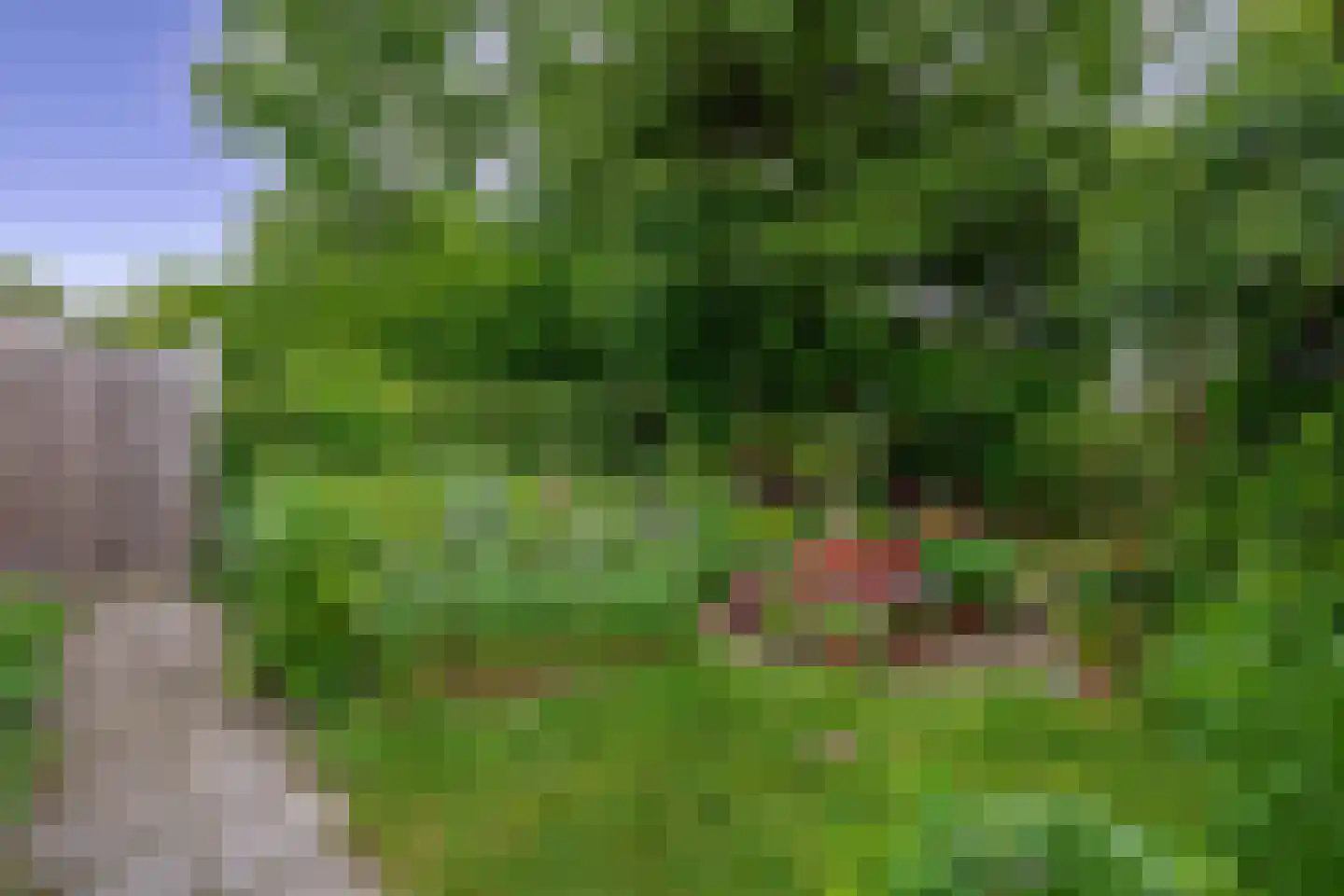 Kluut 10 Sommelsdijk thumbnail 4