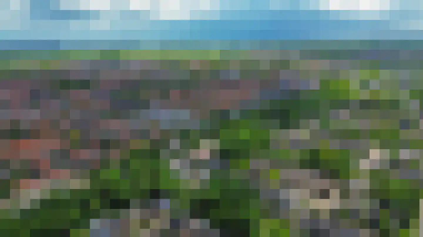 Kluut 10 Sommelsdijk thumbnail 5