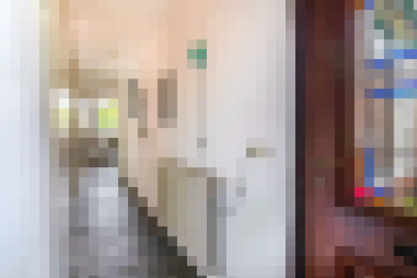 Kluut 10 Sommelsdijk thumbnail 7