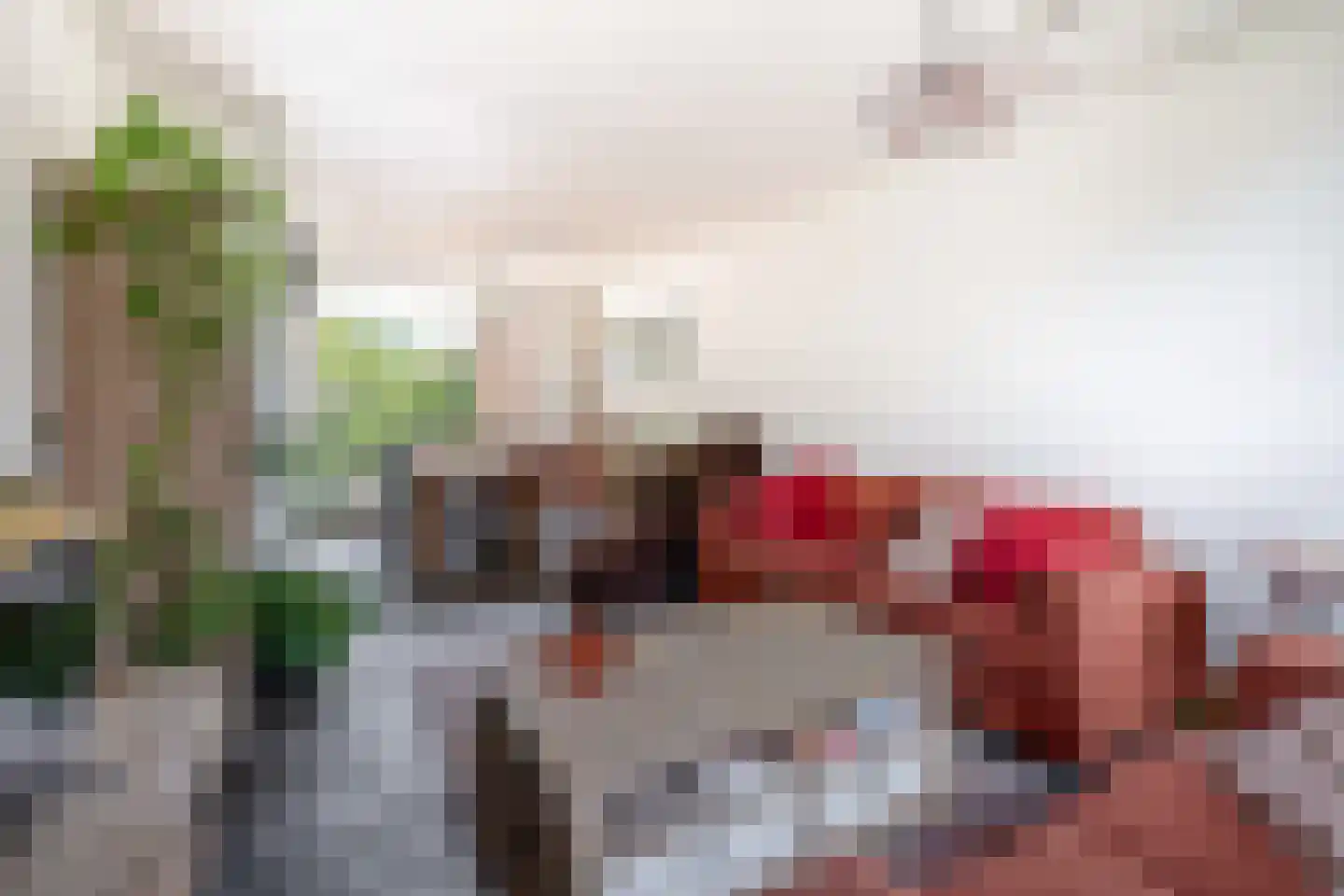 Kluut 10 Sommelsdijk thumbnail 8