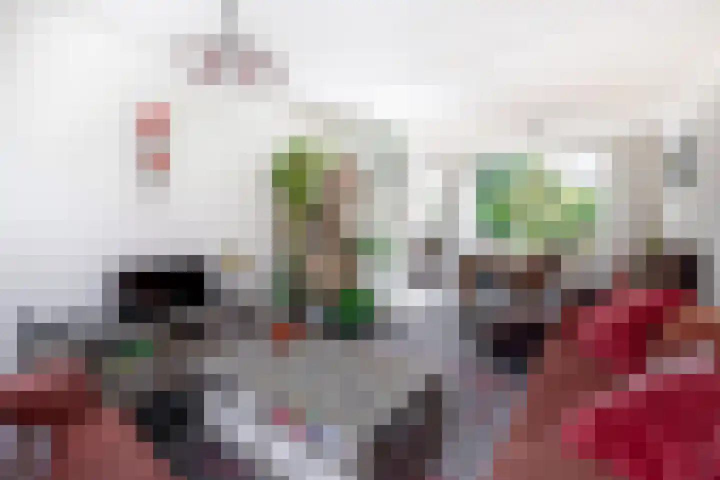 Kluut 10 Sommelsdijk thumbnail 9