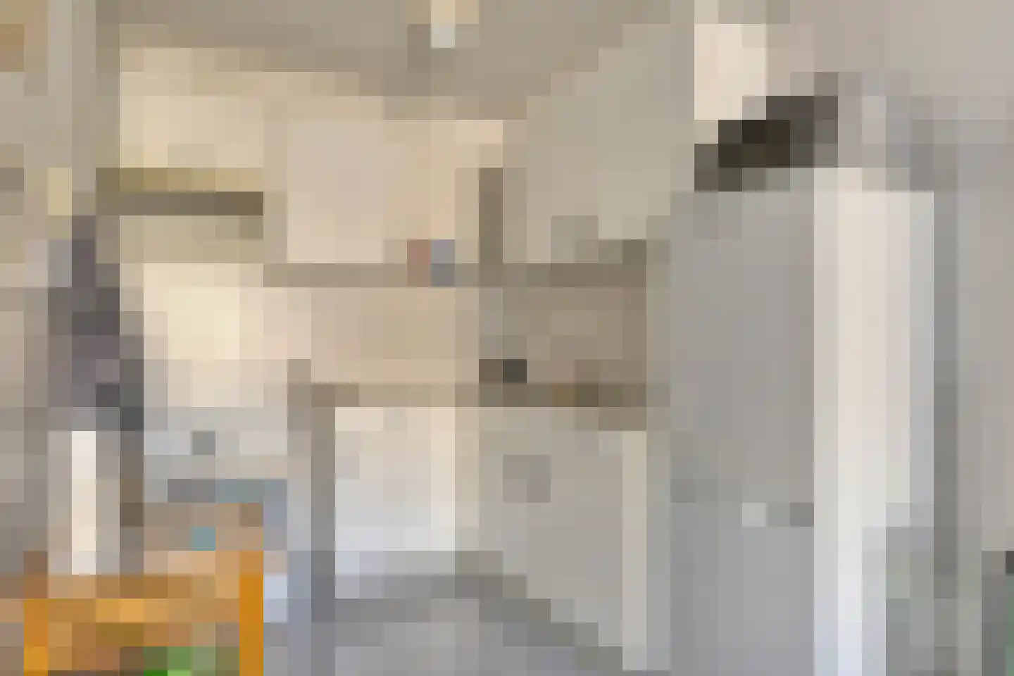 Kluut 13 Bunschoten-Spakenburg thumbnail 12