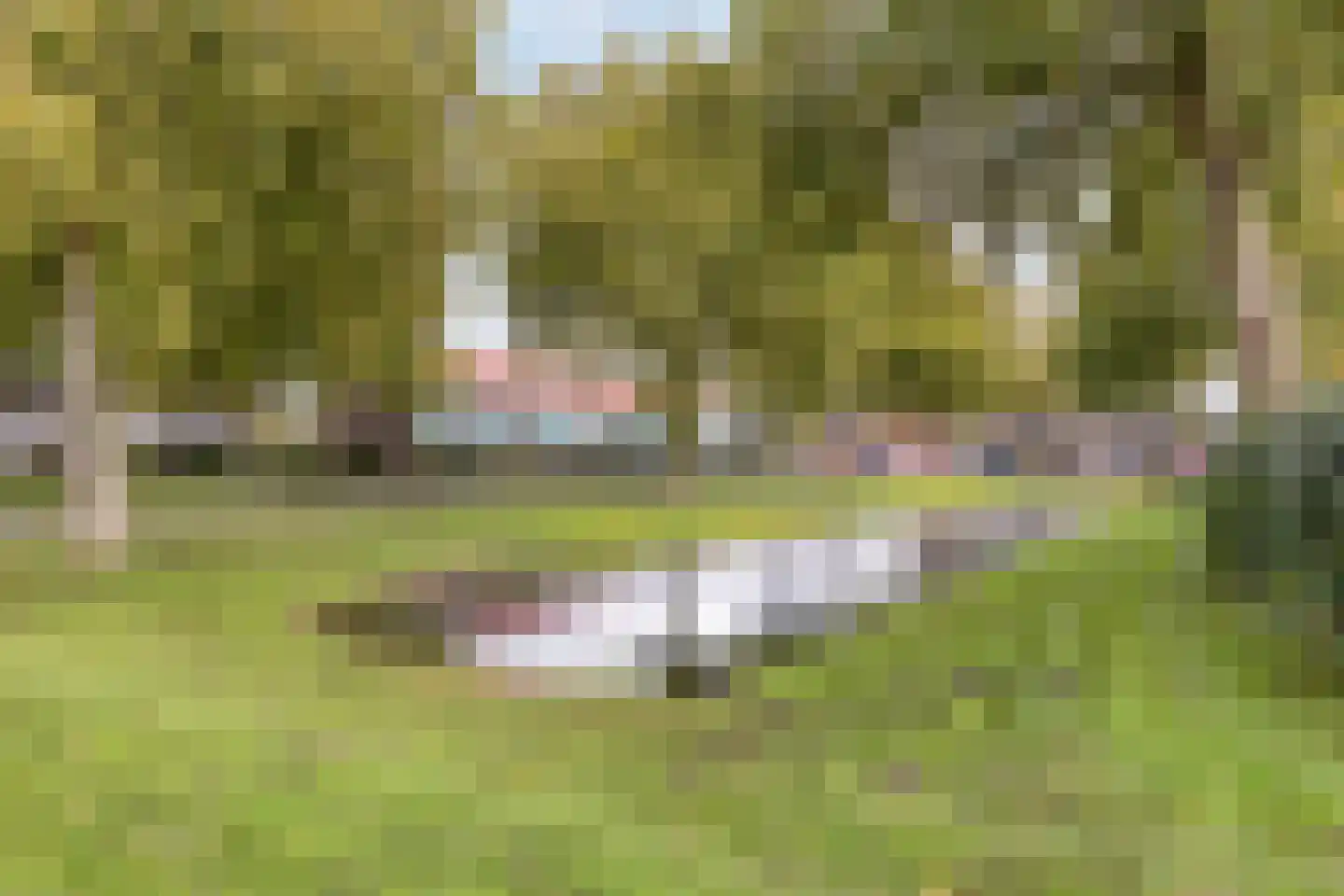 Kluut 13 Bunschoten-Spakenburg thumbnail 24