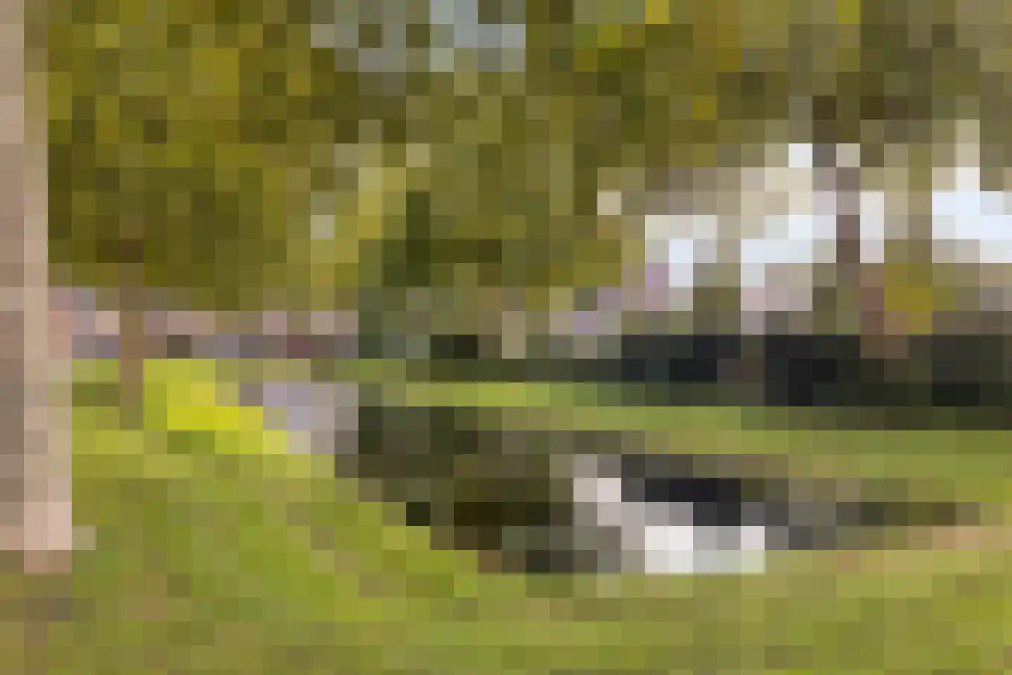 Kluut 13 Bunschoten-Spakenburg thumbnail 25