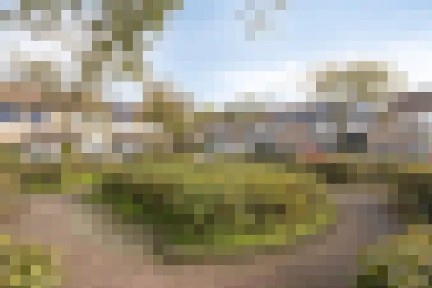 Kluut 13 Bunschoten-Spakenburg thumbnail 26