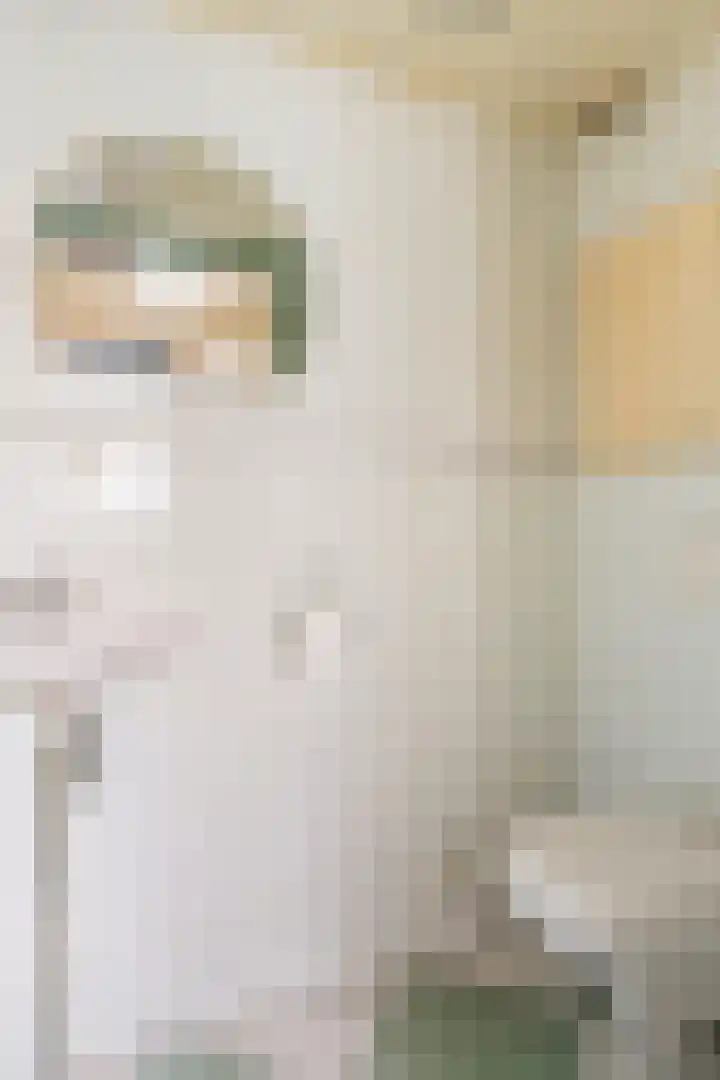 Kluut 15 Sommelsdijk thumbnail 10