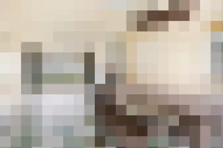Kluut 15 Sommelsdijk thumbnail 12