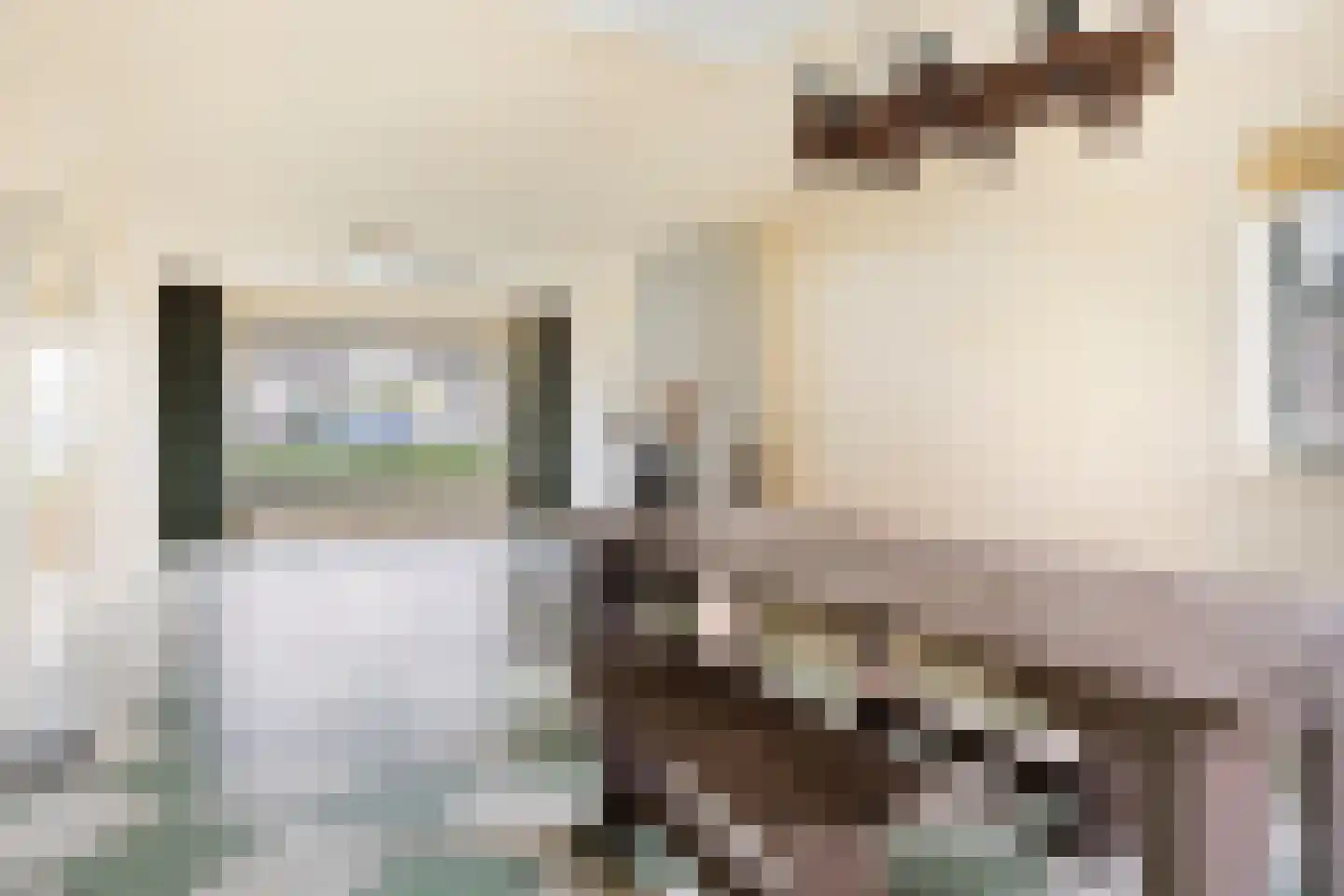 Kluut 15 Sommelsdijk thumbnail 12