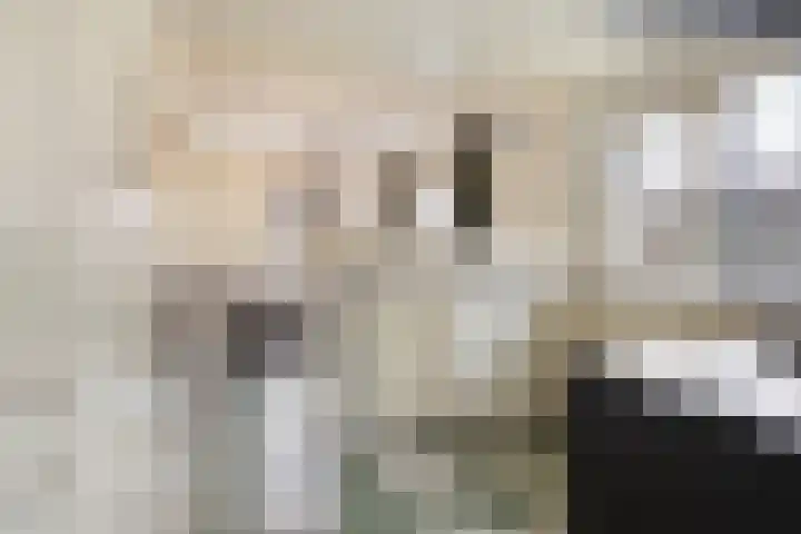 Kluut 15 Sommelsdijk thumbnail 13