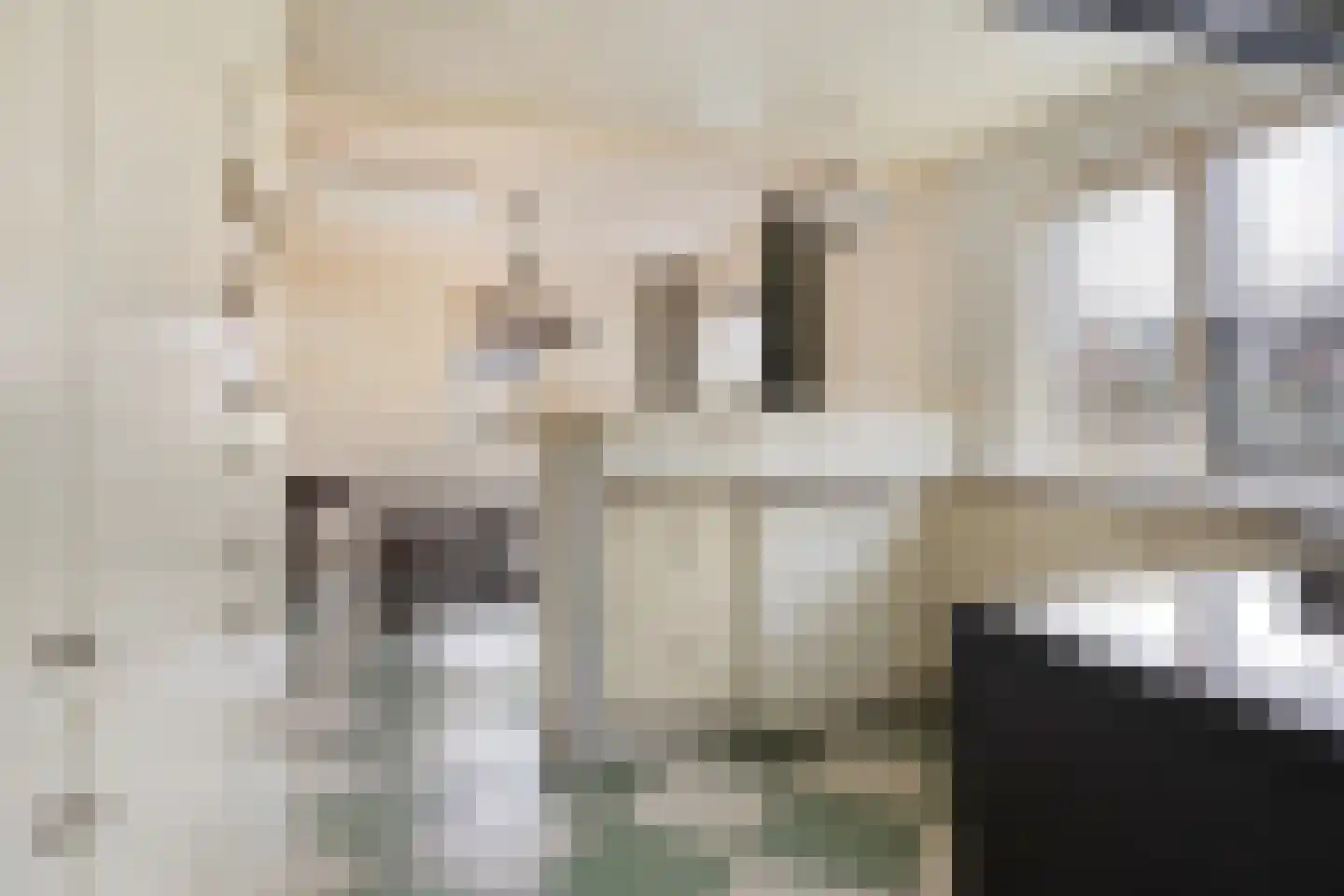 Kluut 15 Sommelsdijk thumbnail 13