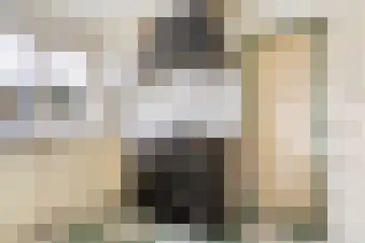 Kluut 15 Sommelsdijk thumbnail 14