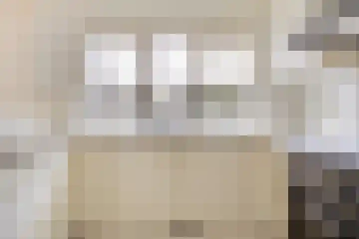 Kluut 15 Sommelsdijk thumbnail 15