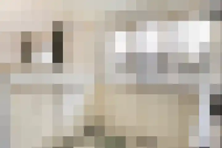 Kluut 15 Sommelsdijk thumbnail 16