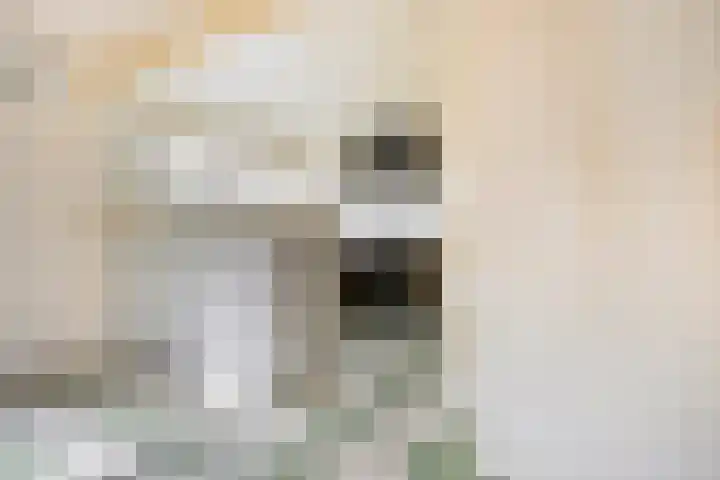 Kluut 15 Sommelsdijk thumbnail 18