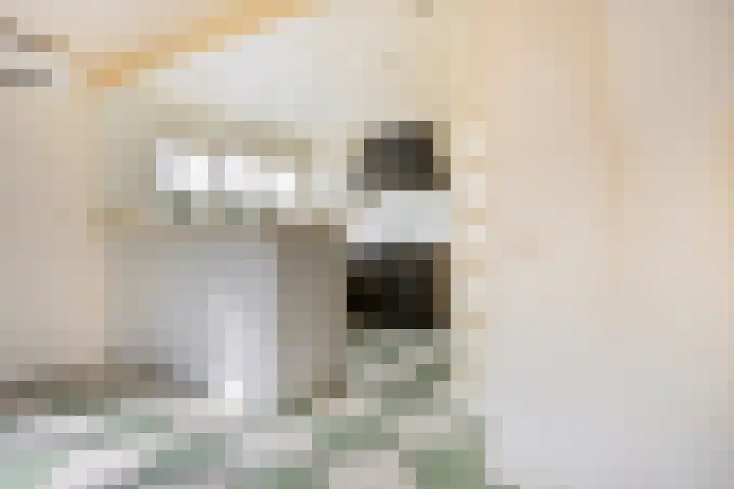Kluut 15 Sommelsdijk thumbnail 18
