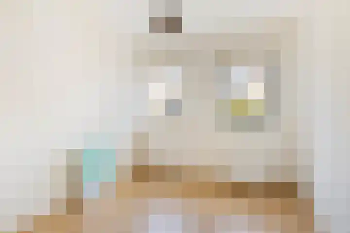 Kluut 15 Sommelsdijk thumbnail 19