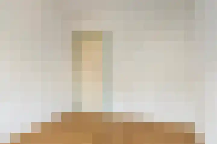 Kluut 15 Sommelsdijk thumbnail 20