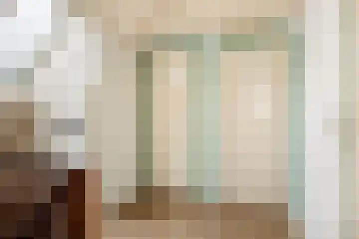 Kluut 15 Sommelsdijk thumbnail 22
