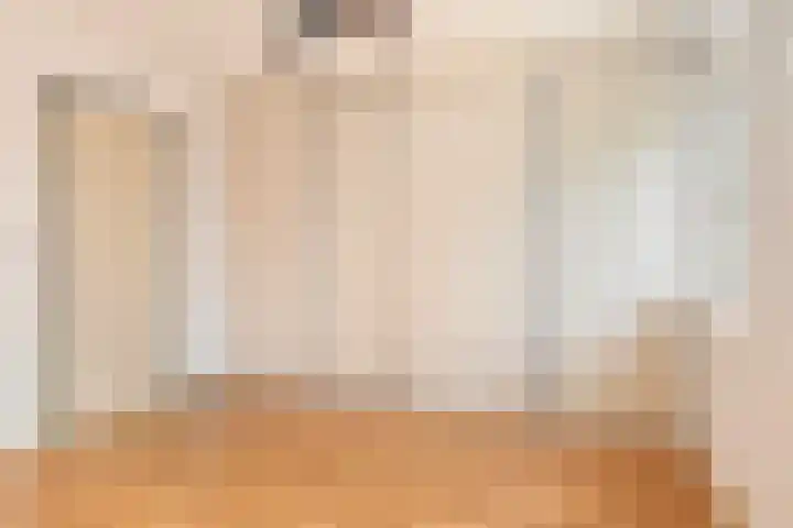 Kluut 15 Sommelsdijk thumbnail 24