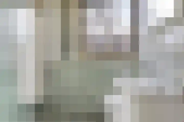 Kluut 15 Sommelsdijk thumbnail 25