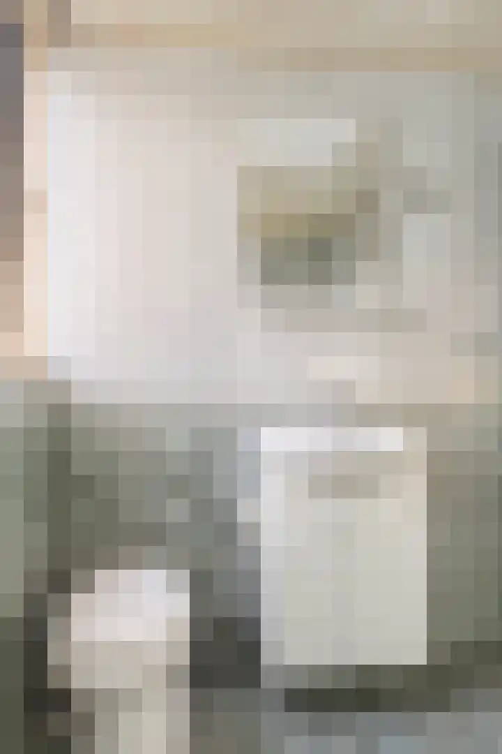 Kluut 15 Sommelsdijk thumbnail 26