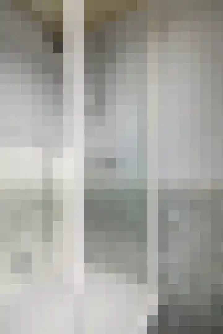 Kluut 15 Sommelsdijk thumbnail 27