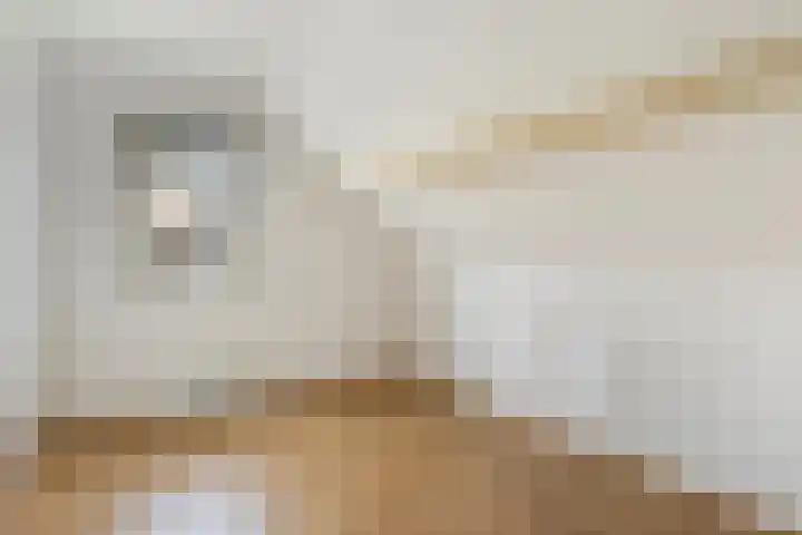 Kluut 15 Sommelsdijk thumbnail 28