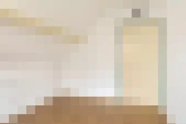 Kluut 15 Sommelsdijk thumbnail 29