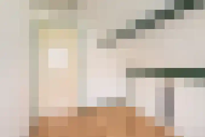 Kluut 15 Sommelsdijk thumbnail 31