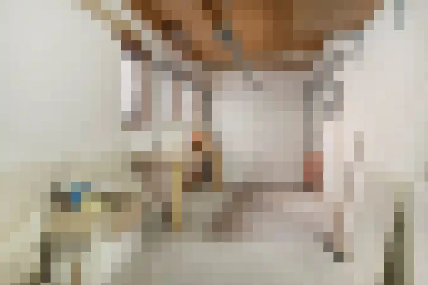 Kluut 15 Sommelsdijk thumbnail 32